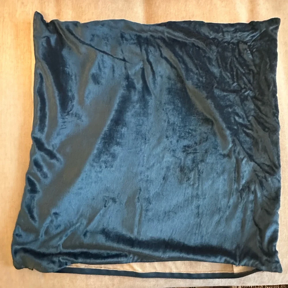 Two Velvet West Elm Pillow Covers